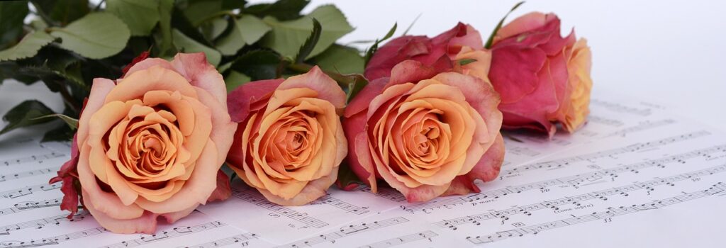 roses, flowers, sheet music-2366341.jpg